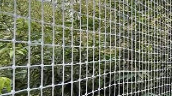 Bird Nets for Balcony Price in Bangalore